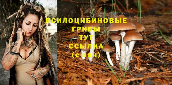 гидропоника Арсеньев